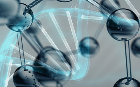 螺杆阀,压盘泵,定量机,供胶站,灌胶机