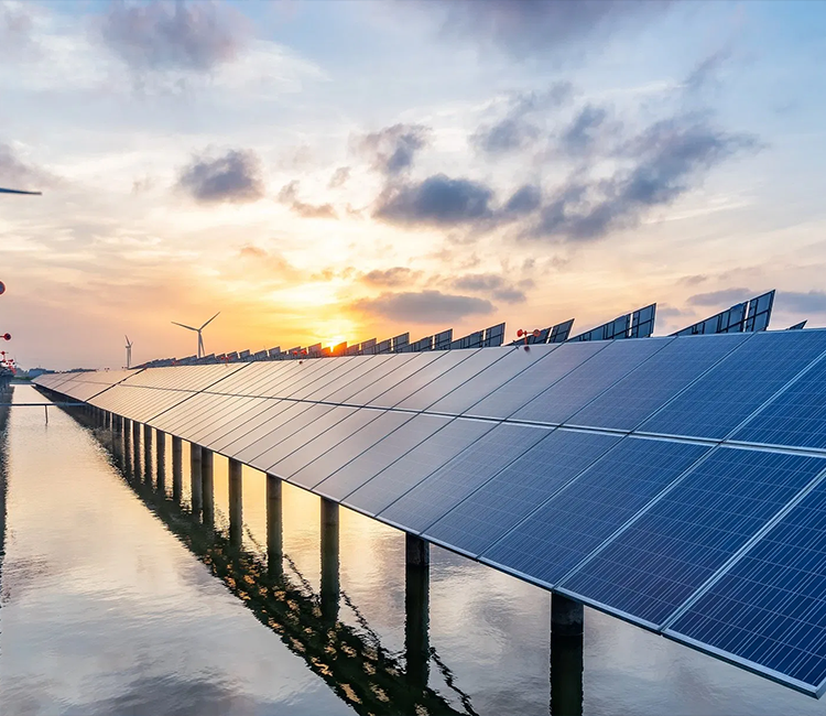 定量机,供胶站,压盘泵,非标涂胶